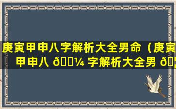 庚寅甲申八字解析大全男命（庚寅甲申八 🐼 字解析大全男 🦆 命婚姻）